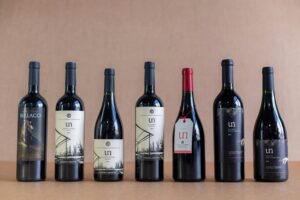 Wine bottles showing clean branding